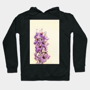 Purple Larkspur Delphinium Hoodie